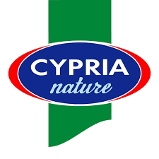 company's logo