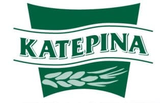 company's logo